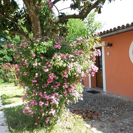 Agriturismo Stella E Il Grillo Forano