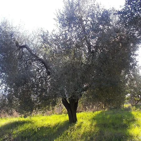 Κατάλυμα σε φάρμα Agriturismo Stella E Il Grillo