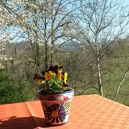 Κατάλυμα σε φάρμα Agriturismo Stella E Il Grillo *